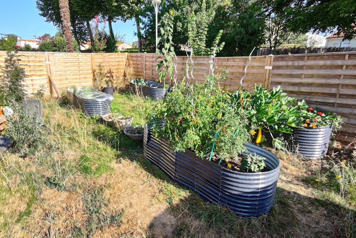 Vibecoding d&rsquo;un outil de  suivi potager avec l&rsquo;IA Gemini et Antigravity